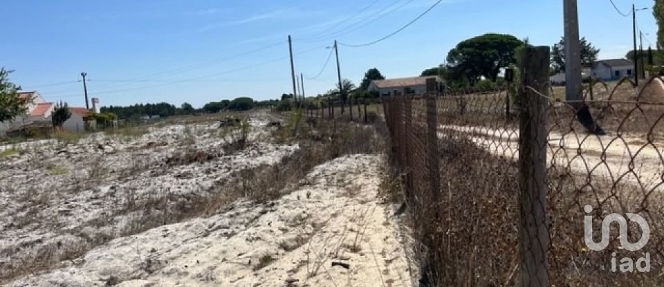 Terrain agricole à Grândola e Santa Margarida da Serra de 8 109 m²