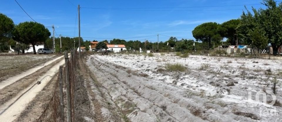 Terreno Agrícola em Grândola e Santa Margarida da Serra de 8 109 m²