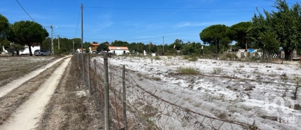 Terrain agricole à Grândola e Santa Margarida da Serra de 8 109 m²