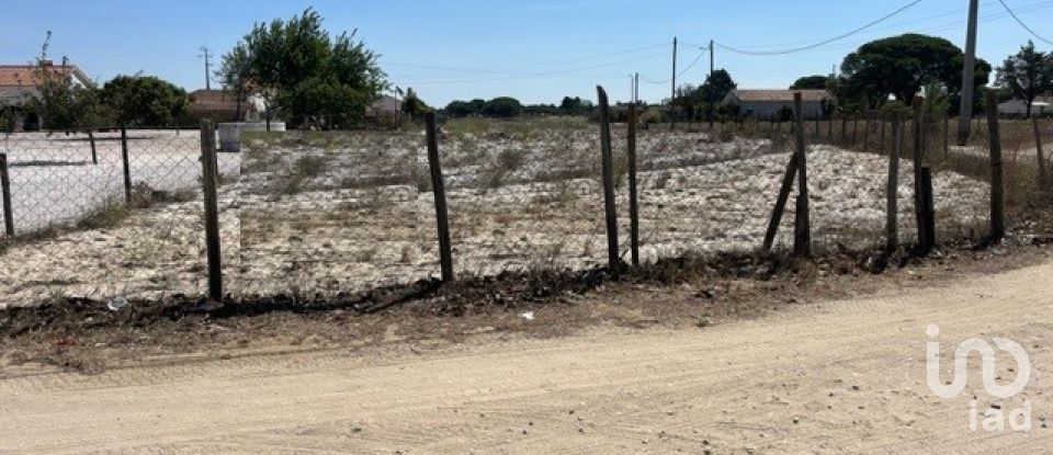 Terrain agricole à Grândola e Santa Margarida da Serra de 8 109 m²