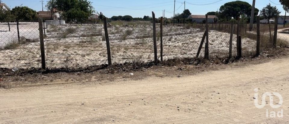Terrain agricole à Grândola e Santa Margarida da Serra de 8 109 m²
