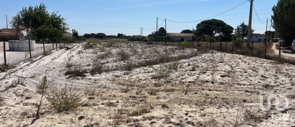 Terrain agricole à Grândola e Santa Margarida da Serra de 8 109 m²