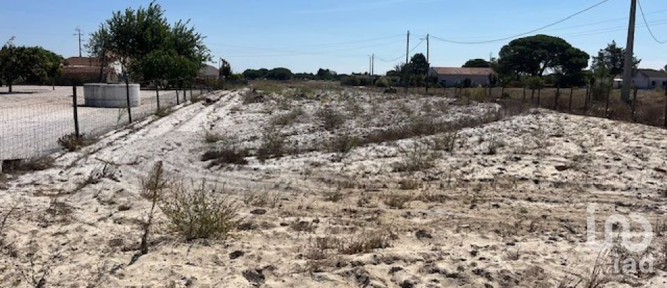 Terrain agricole à Grândola e Santa Margarida da Serra de 8 109 m²