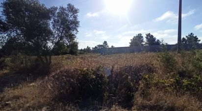 Terrain à bâtir à Coruche, Fajarda e Erra de 509 m²
