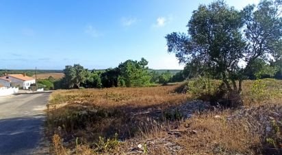 Terrain à bâtir à Coruche, Fajarda e Erra de 509 m²