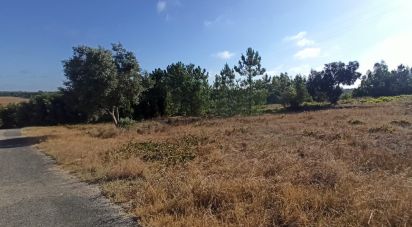 Terrain à bâtir à Coruche, Fajarda e Erra de 509 m²