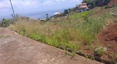 Terrain à bâtir à São Jorge de 1 640 m²