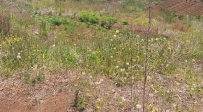 Terrain à bâtir à São Jorge de 1 640 m²