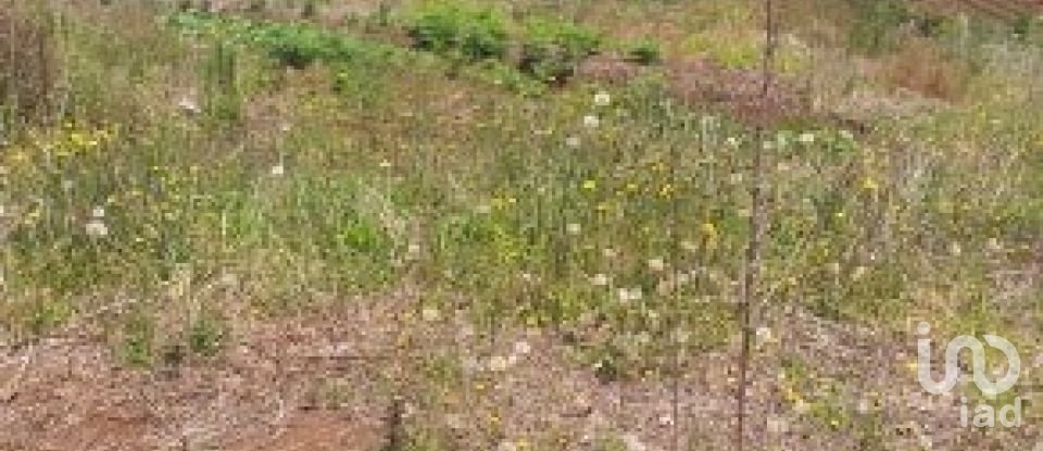 Terrain à bâtir à São Jorge de 1 640 m²