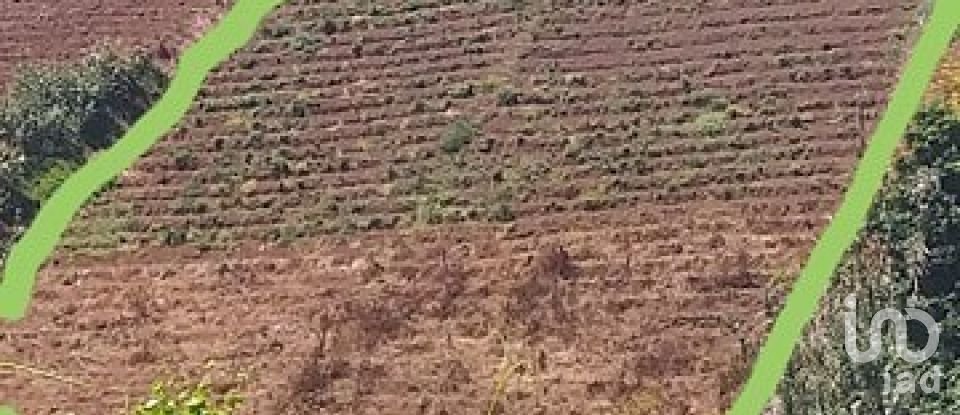 Terrain à bâtir à São Jorge de 1 640 m²