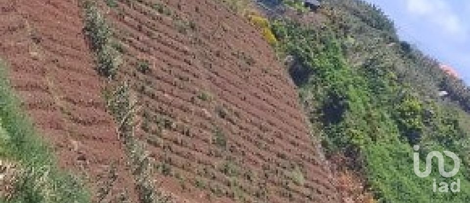 Terrain à bâtir à São Jorge de 1 640 m²