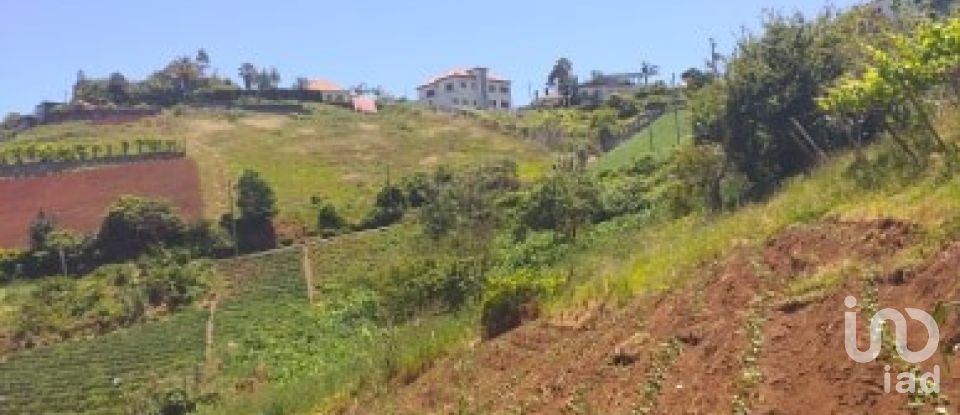 Building land in São Jorge of 1,640 m²