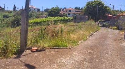 Terrain à bâtir à São Jorge de 1 640 m²