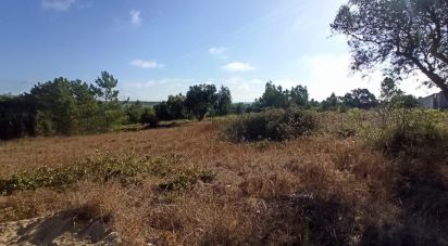 Terrain à bâtir à Coruche, Fajarda e Erra de 509 m²
