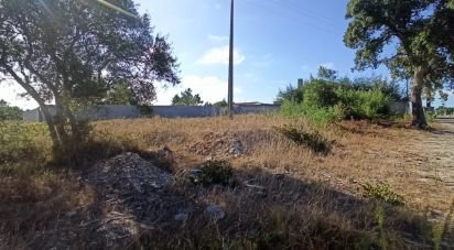 Terrain à bâtir à Coruche, Fajarda e Erra de 509 m²