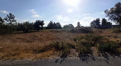 Terrain à bâtir à Coruche, Fajarda e Erra de 509 m²