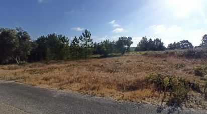 Terrain à bâtir à Coruche, Fajarda e Erra de 509 m²