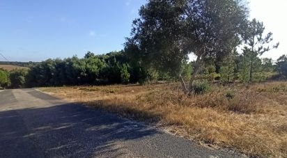 Terrain à bâtir à Coruche, Fajarda e Erra de 505 m²
