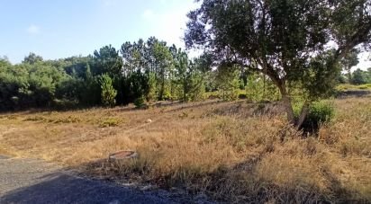 Terrain à bâtir à Coruche, Fajarda e Erra de 505 m²