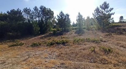 Terrain à bâtir à Coruche, Fajarda e Erra de 505 m²