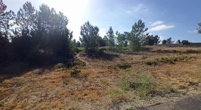 Terrain à bâtir à Coruche, Fajarda e Erra de 522 m²