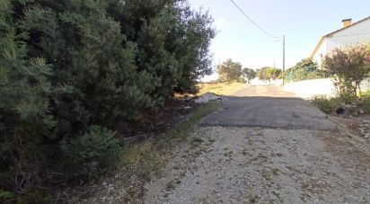 Terrain à bâtir à Coruche, Fajarda e Erra de 415 m²