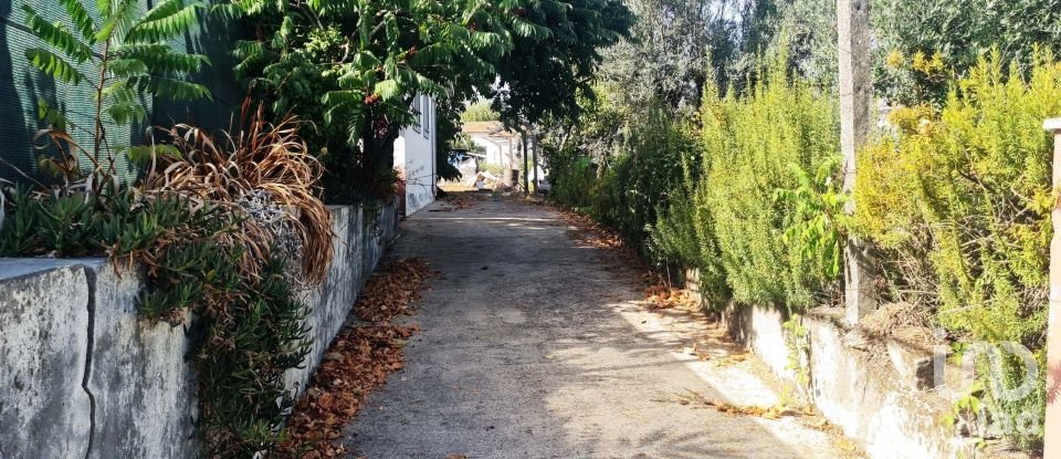 Boutique/Local commercial à Moimenta de Maceira Dão e Lobelhe do Mato de 215 m²