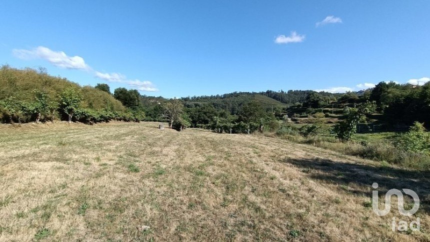 Agricultural land in Sabadim of 6,500 m²