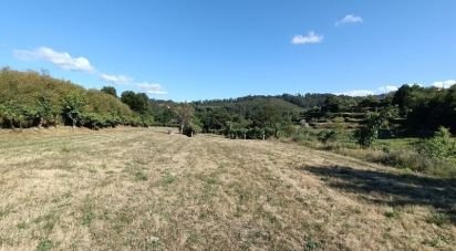 Terrain agricole à Sabadim de 6 500 m²