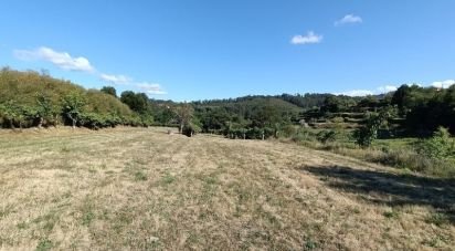Farm land in Sabadim of 6,500 m²