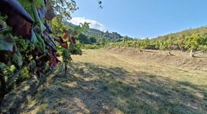 Farm land in Sabadim of 6,500 m²