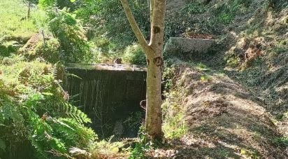 Farm land in Sabadim of 6,500 m²