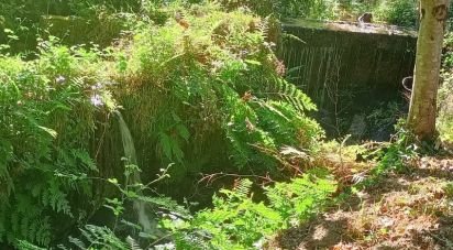 Farm land in Sabadim of 6,500 m²