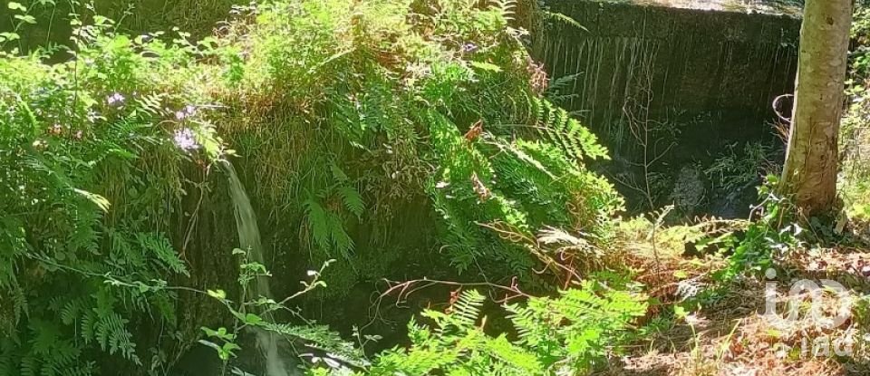 Terreno rústico em Sabadim de 6 500 m²