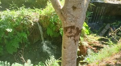 Farm land in Sabadim of 6,500 m²