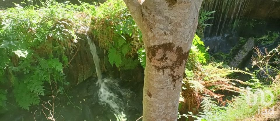Terreno rústico em Sabadim de 6 500 m²