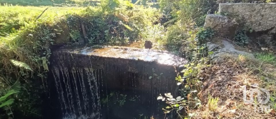 Terreno rústico em Sabadim de 6 500 m²