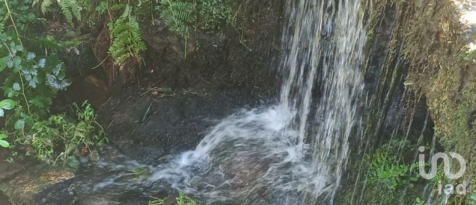 Terreno rústico em Sabadim de 6 500 m²