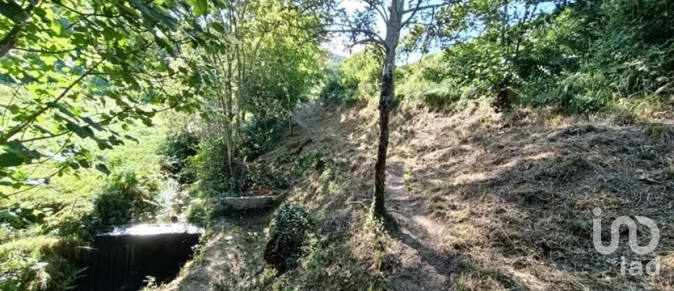 Terreno rústico em Sabadim de 6 500 m²