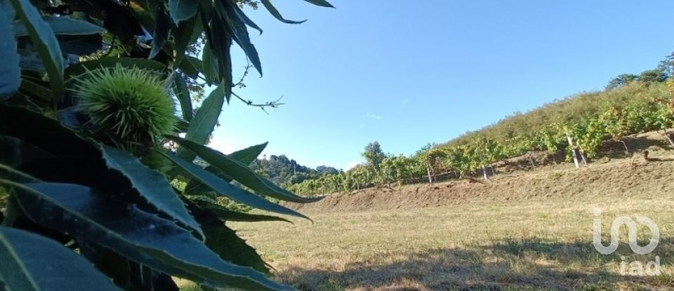 Terreno Agrícola em Sabadim de 6 500 m²