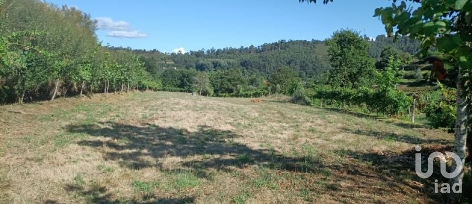 Terreno rústico em Sabadim de 6 500 m²