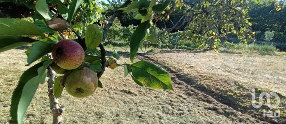 Terreno rústico em Sabadim de 6 500 m²
