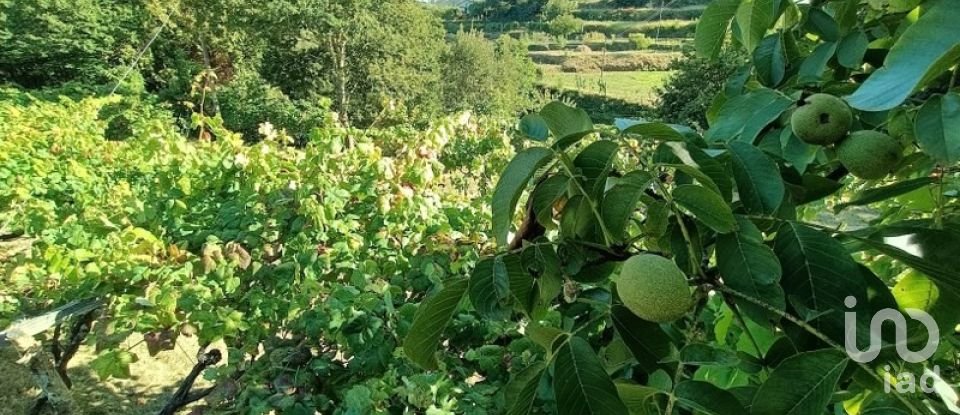 Terreno rústico em Sabadim de 6 500 m²