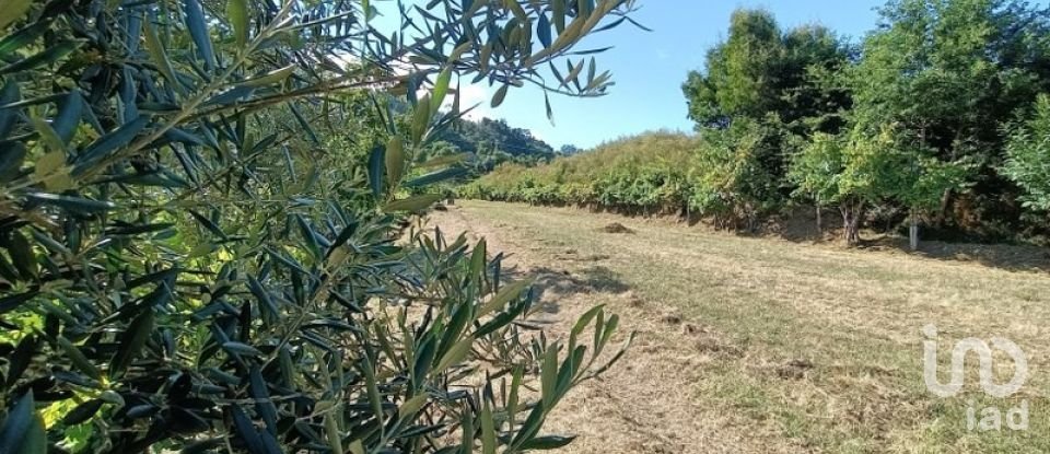 Terreno rústico em Sabadim de 6 500 m²
