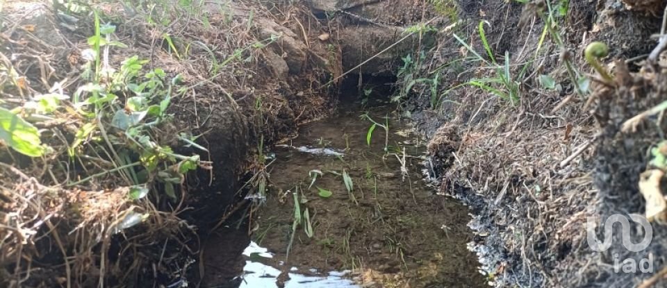 Terreno rústico em Sabadim de 6 500 m²