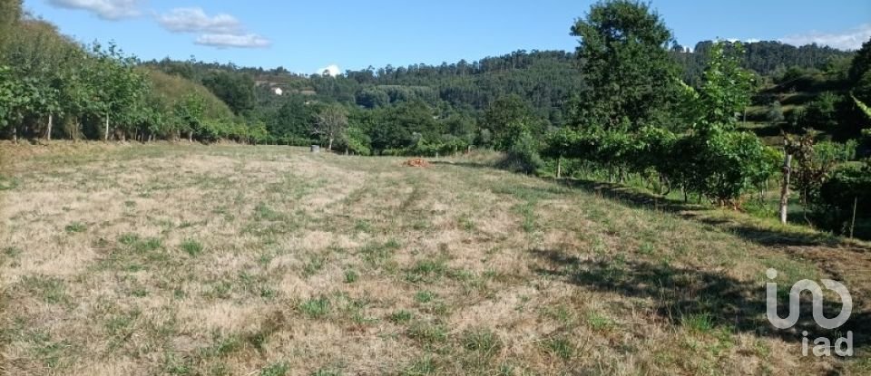 Terreno rústico em Sabadim de 6 500 m²