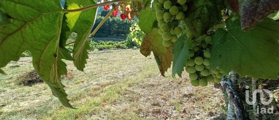 Terreno rústico em Sabadim de 6 500 m²