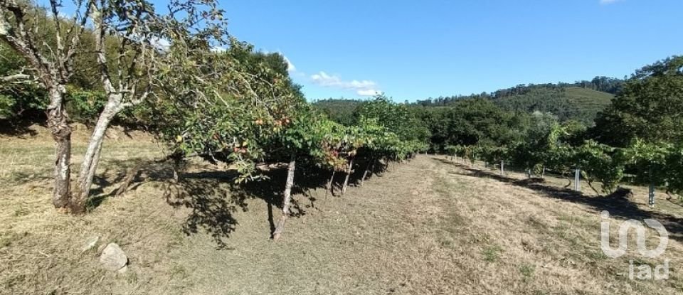 Terreno rústico em Sabadim de 6 500 m²