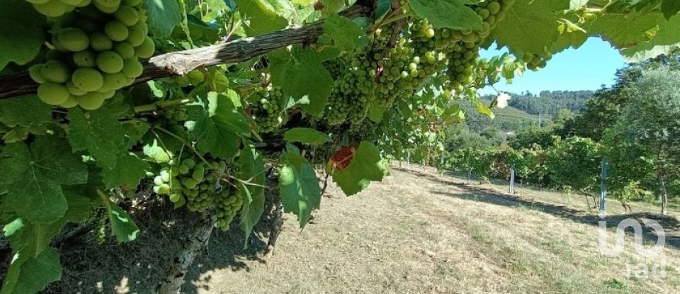 Terreno rústico em Sabadim de 6 500 m²