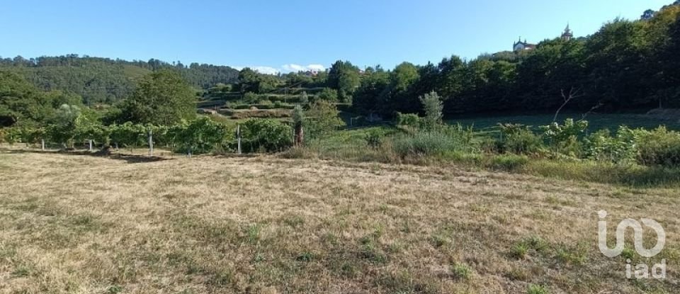 Terrain agricole à Sabadim de 6 500 m²